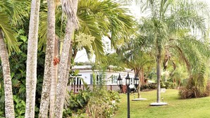 A lush garden with palm trees, a white building with a red roof, and a pathway.