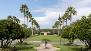 A well-maintained lawn with a central palm tree, surrounded by tall palm trees and neatly trimmed bushes. - Casita Beth near Disney & Orlando Parks! (Kissimmee)