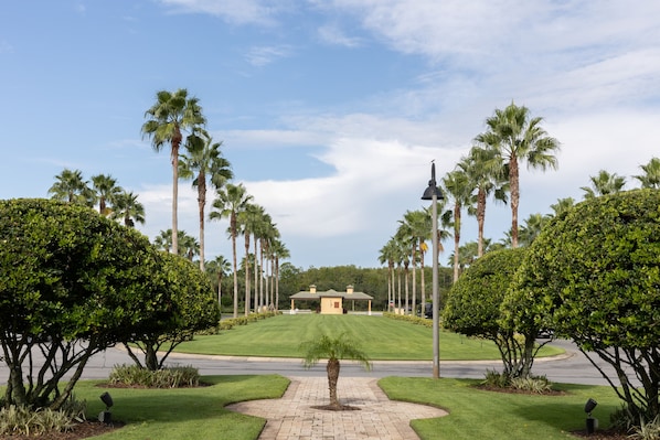 A well-maintained lawn with a central palm tree, surrounded by tall palm trees and neatly trimmed bushes.
