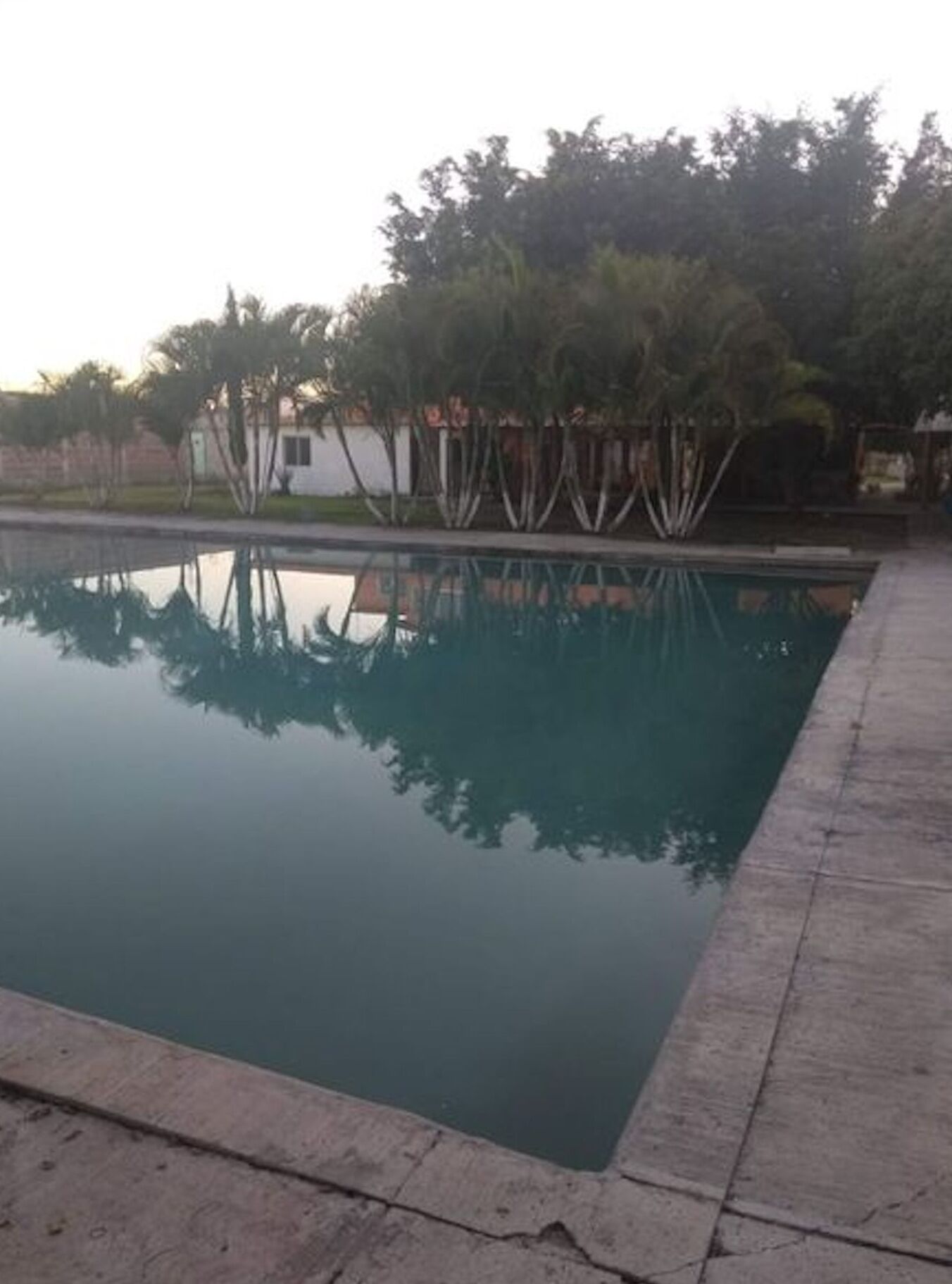 Une piscine rectangulaire dont l’eau reflète clairement les arbres et un bâtiment blanc situé à l’arrière-plan.