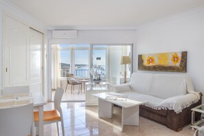 تلفزيون، مشغل دي في دي