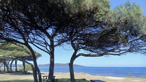 Una playa con mesas de picnic y árboles.
