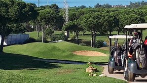 Un campo de golf con vistas despejadas al océano, un carrito de golf y una zona verde bien cuidada.