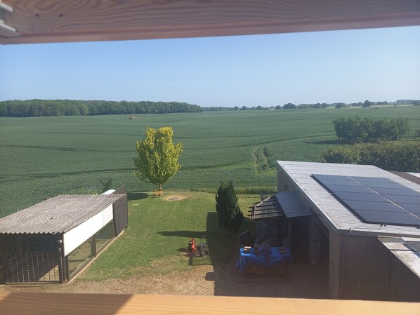 A view of a green field with a tree and a building with solar panels.