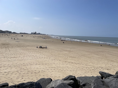 STUDIO -3pers-  50m van strand en ZEE  overkant van ENSOR huis in het Centrum .