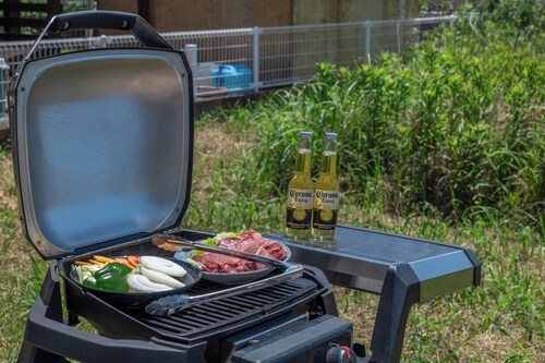 バーベキュー / ピクニック エリア