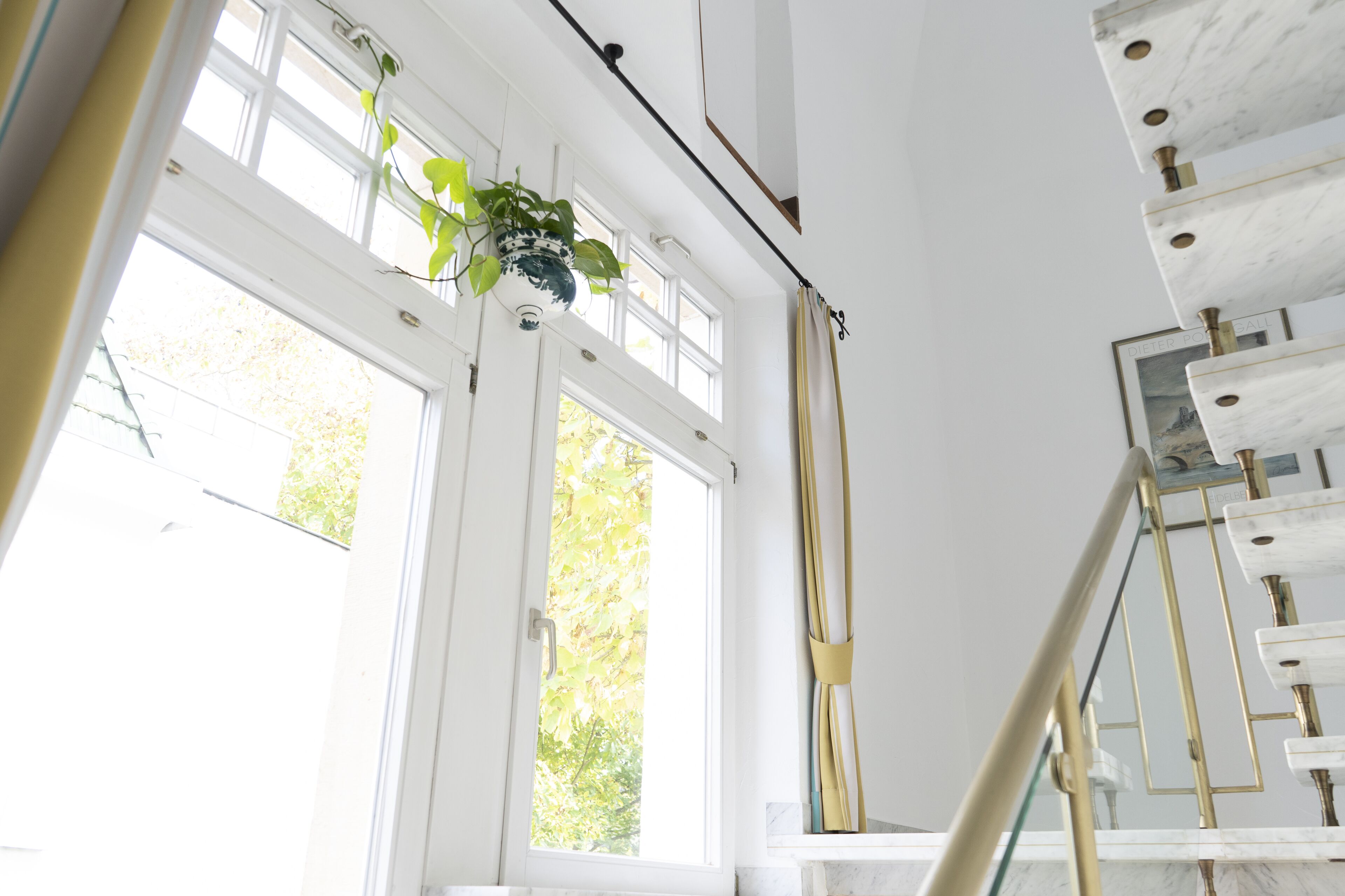 A staircase with a glass railing and a plant hanging from the ceiling.