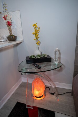 Studio | Living room - Pet Friendly Modern Zen Studio Retreat W/ Hot Tub! Home by RedAwning (Orlando)