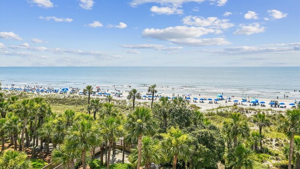 A beach with palm trees, blue umbrellas, and a clear sky. - Coastal 5th Floor Ocean Front Views w/ Amenites (Hilton Head Island)