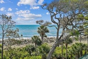 Une plage avec vue sur la mer et bordée d’arbres.