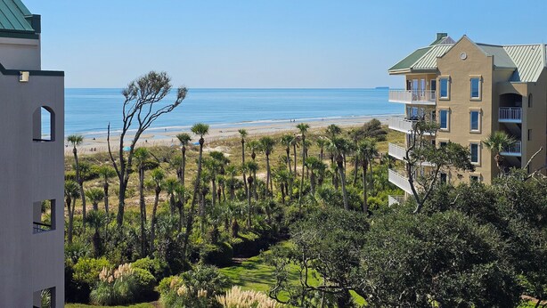 A beachfront hotel with a view of the ocean, surrounded by palm trees and a well-maintained garden.