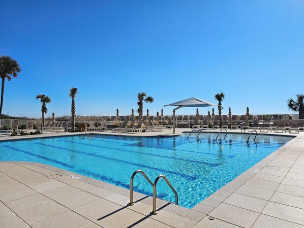 Una piscina con sillas de descanso y sombrillas, rodeada de palmeras.