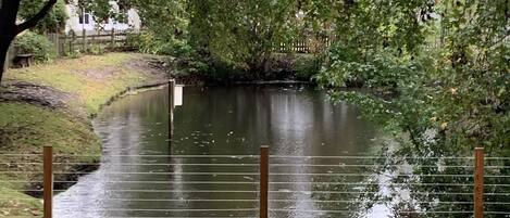 Terrain de lâhĂ©bergement