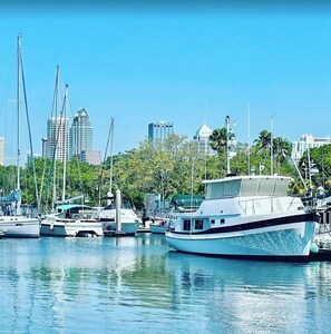 Take a relaxing walk along Channel Dr. or Seaplane Basin Park and enjoy the views. This was taken across the street from Roy Jenkins Pool - a beautiful view of Tampa!