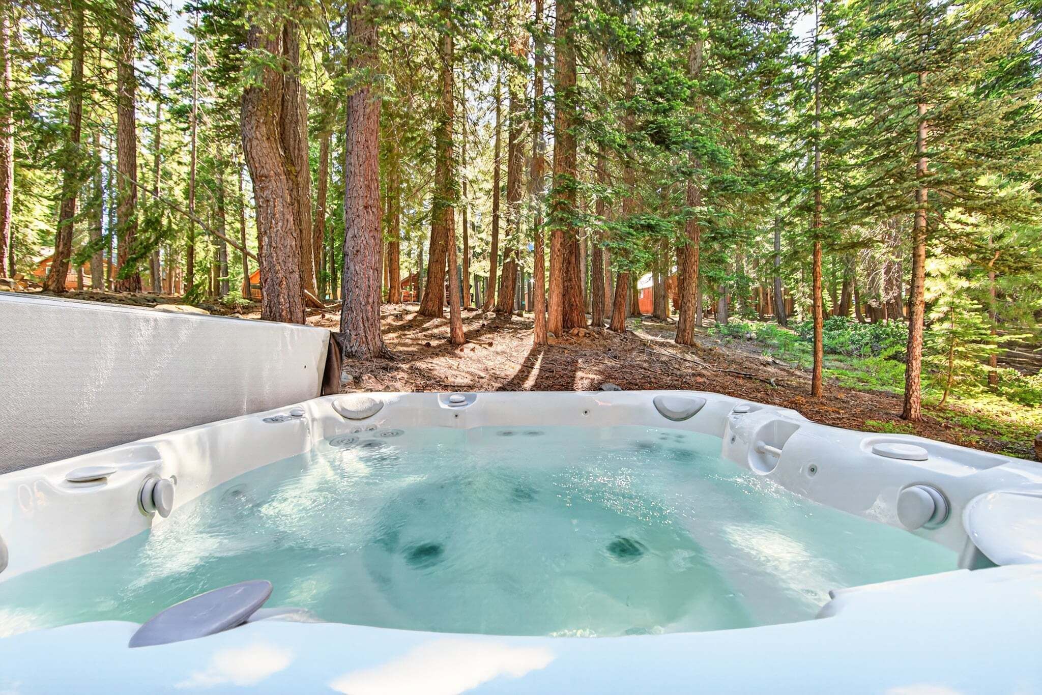 A hot tub surrounded by tall trees in a forested area.