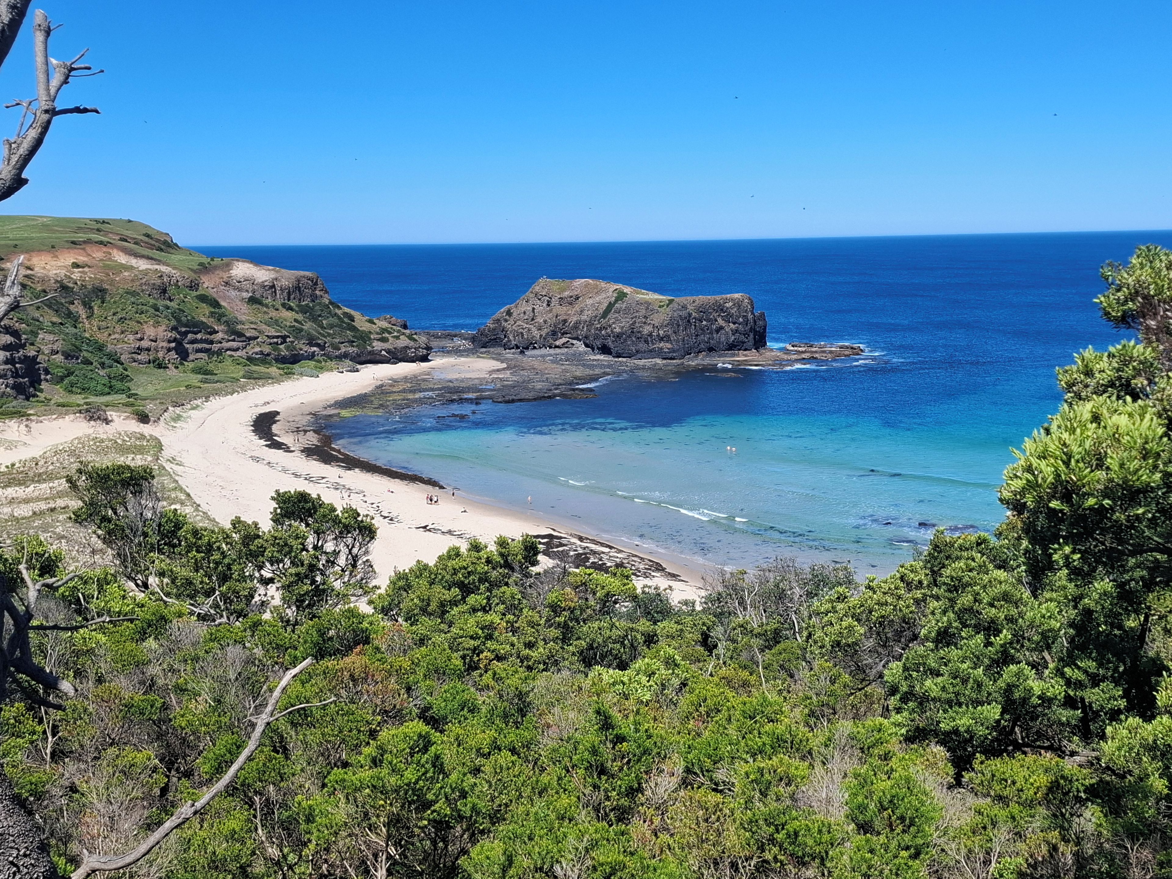 A coastal landscape with a beach, rocky outcrops, and dense greenery.