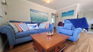 Smart TV, Netflix, DVD player, streaming services