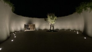 Una stanza scarsamente illuminata con una pianta in vaso al centro, circondata da un basso muretto e qualche piccola luce.
