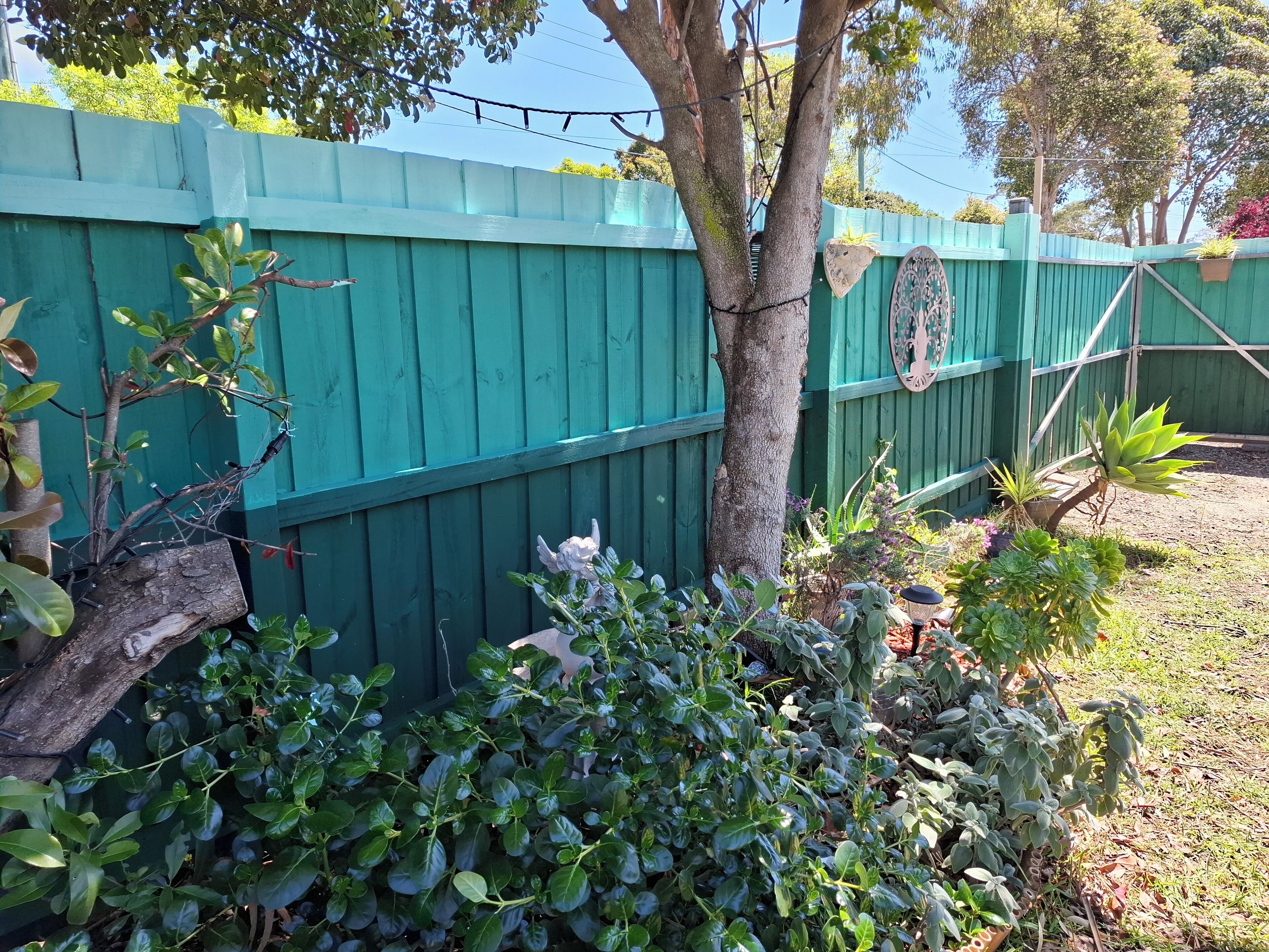 A green wooden fence with a tree in the center, surrounded by various plants and shrubs.