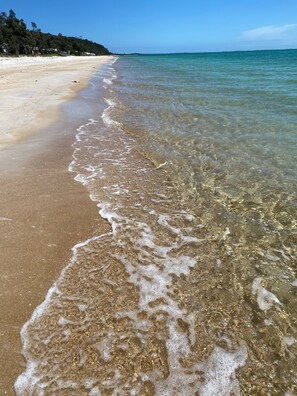 Beach nearby - Small town charm, close to shops,  beaches of your choosing and wineries. (Hastings)