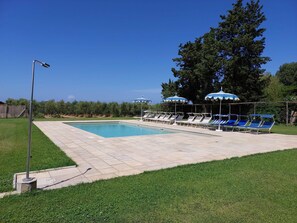 A swimming pool with lounge chairs and umbrellas, surrounded by grass and trees.