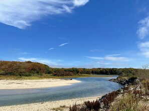 Ein Fluss mit sandigem Ufer und einem bewaldeten Hügel im Hintergrund.