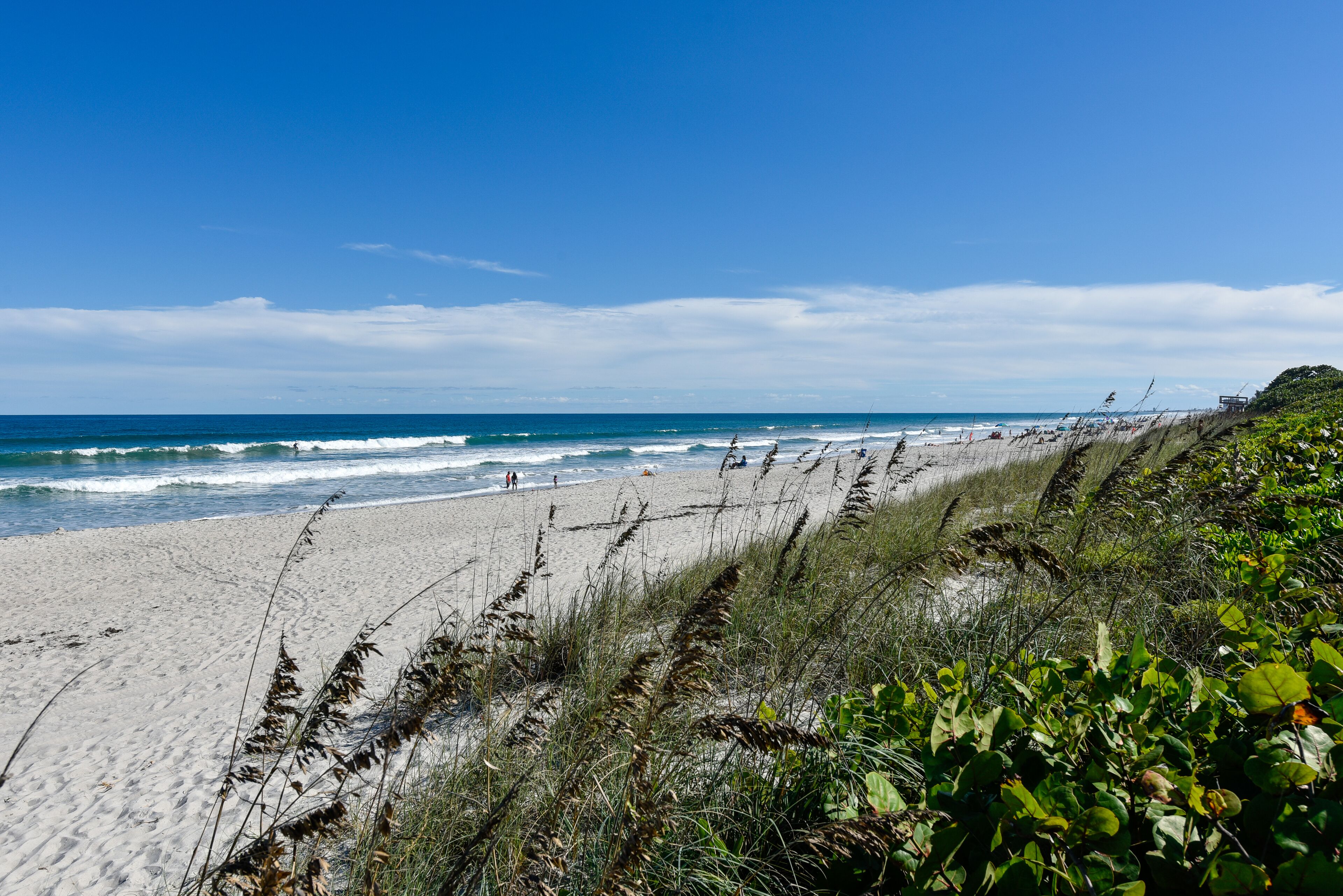 Playa en los alrededores 