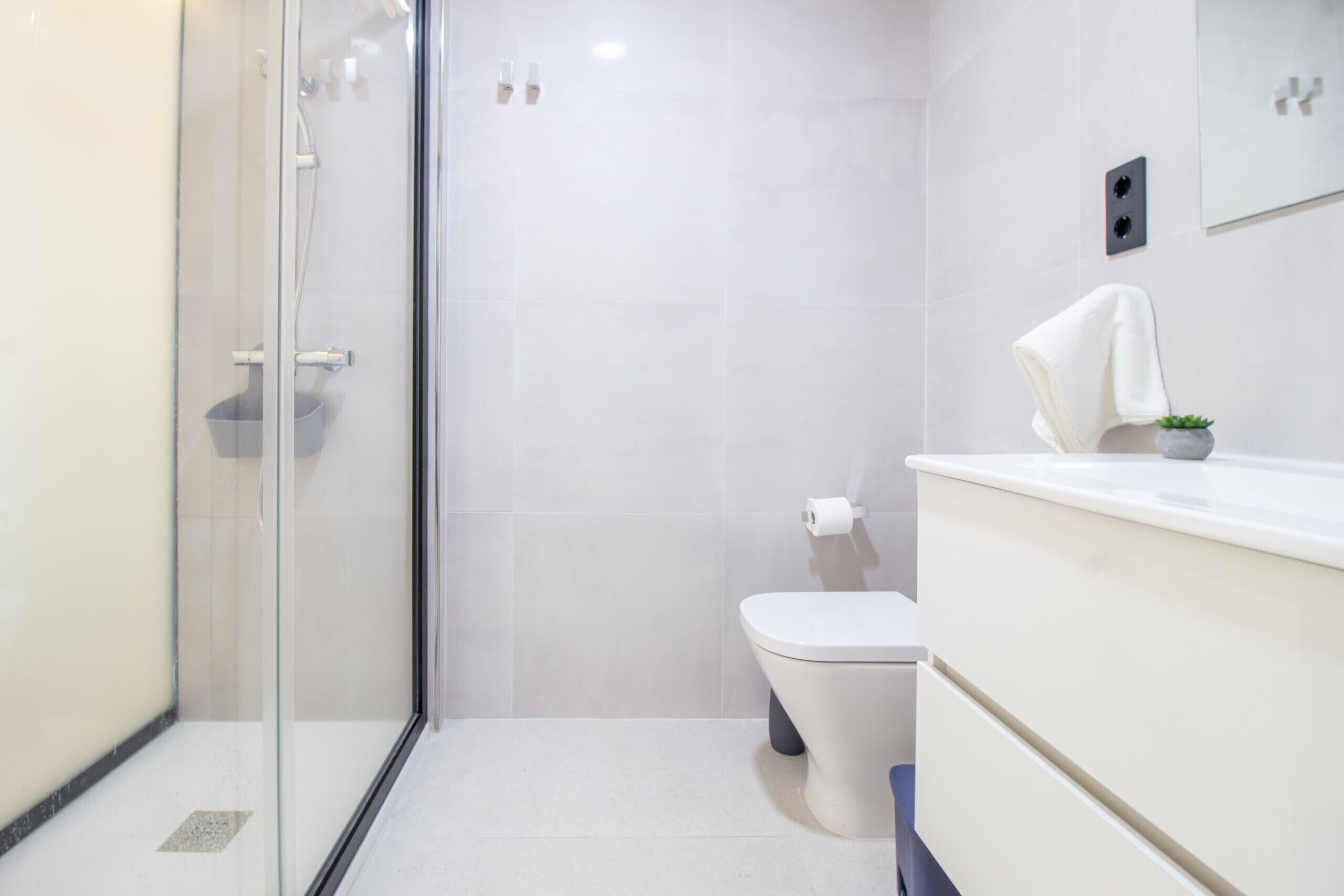 Chuveiro, secador de cabelo, toalhas de banho, papel higiênico