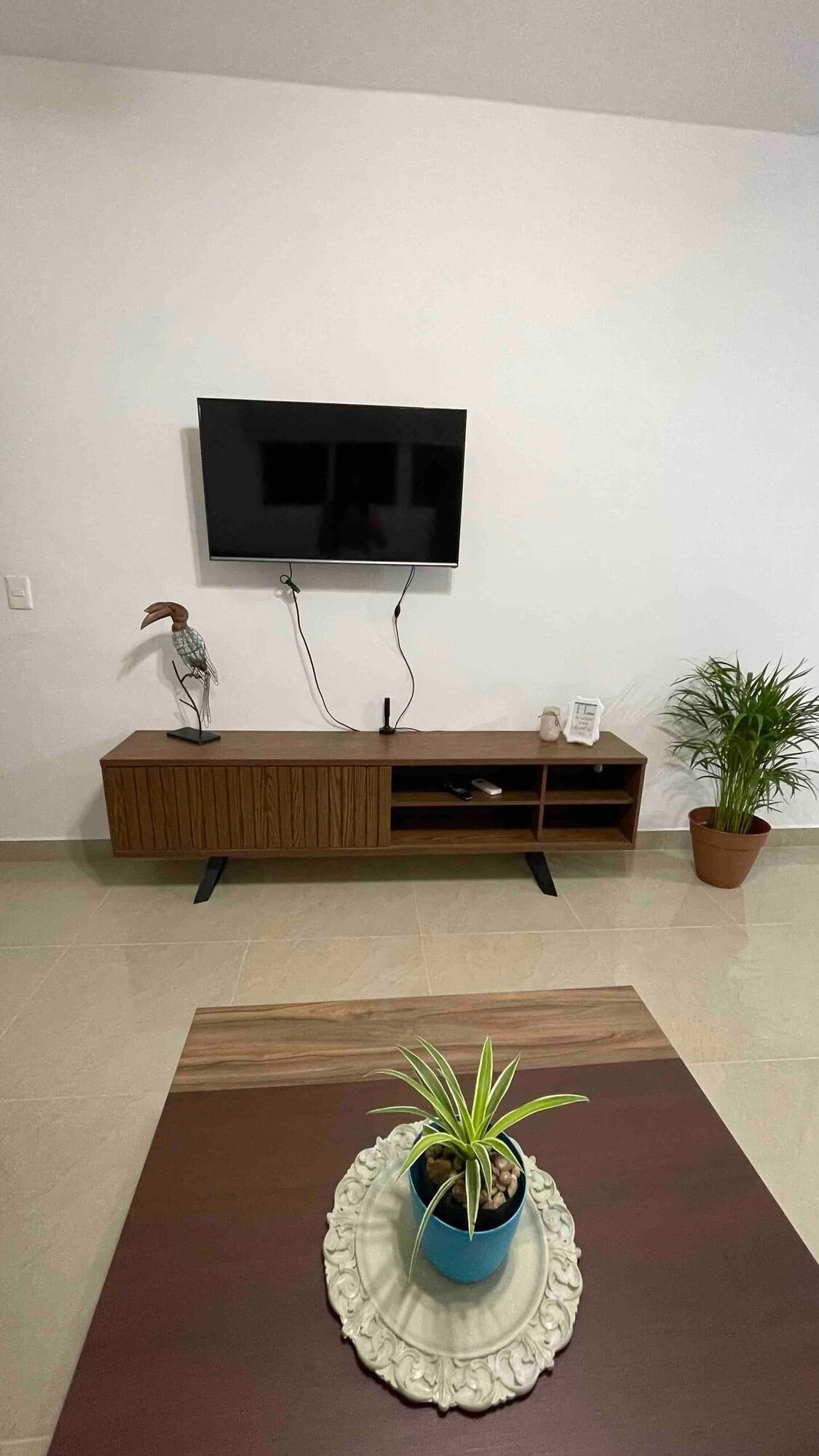 Imagen de perfil del propietario o de la propietaria