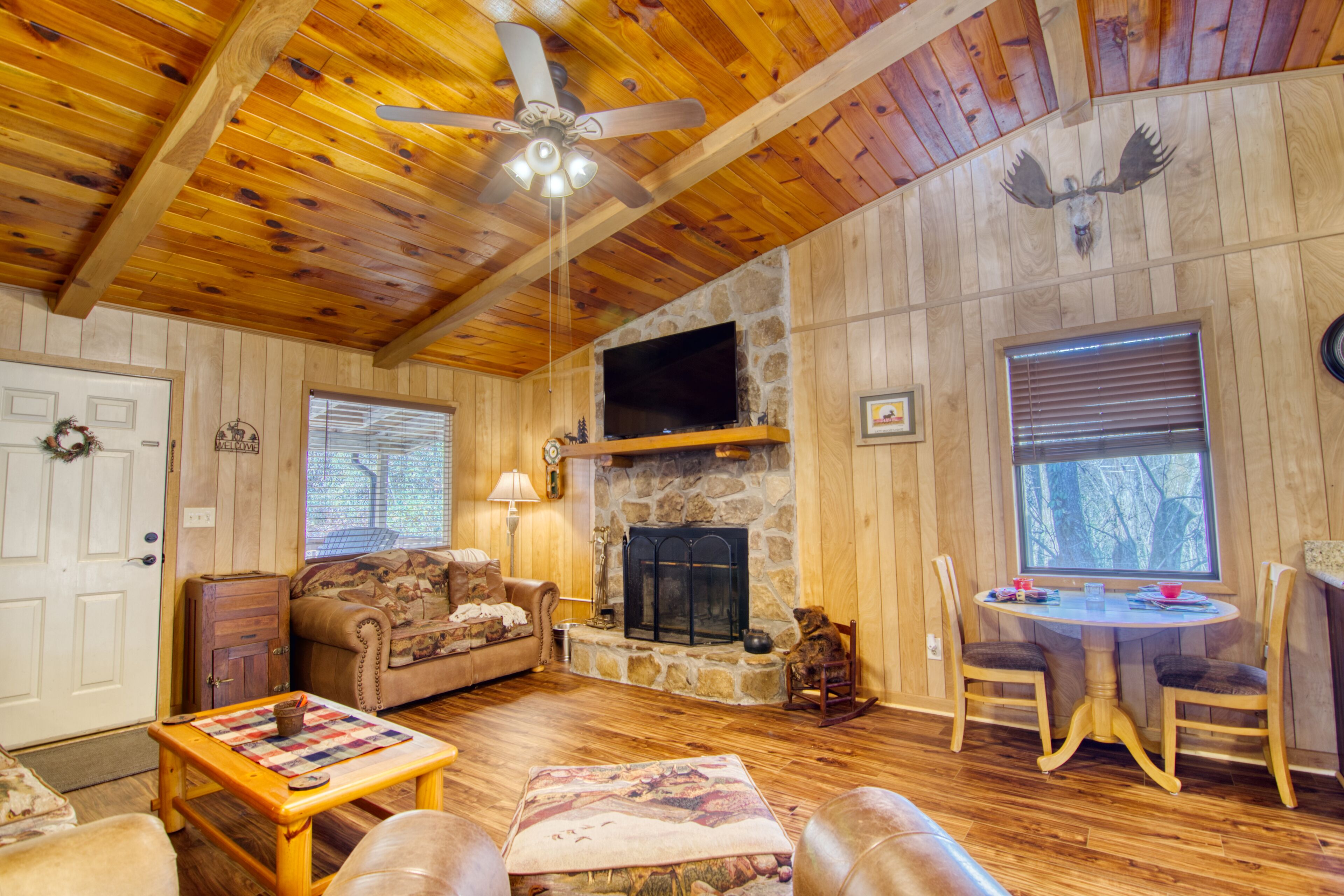 Smart TV, fireplace, books