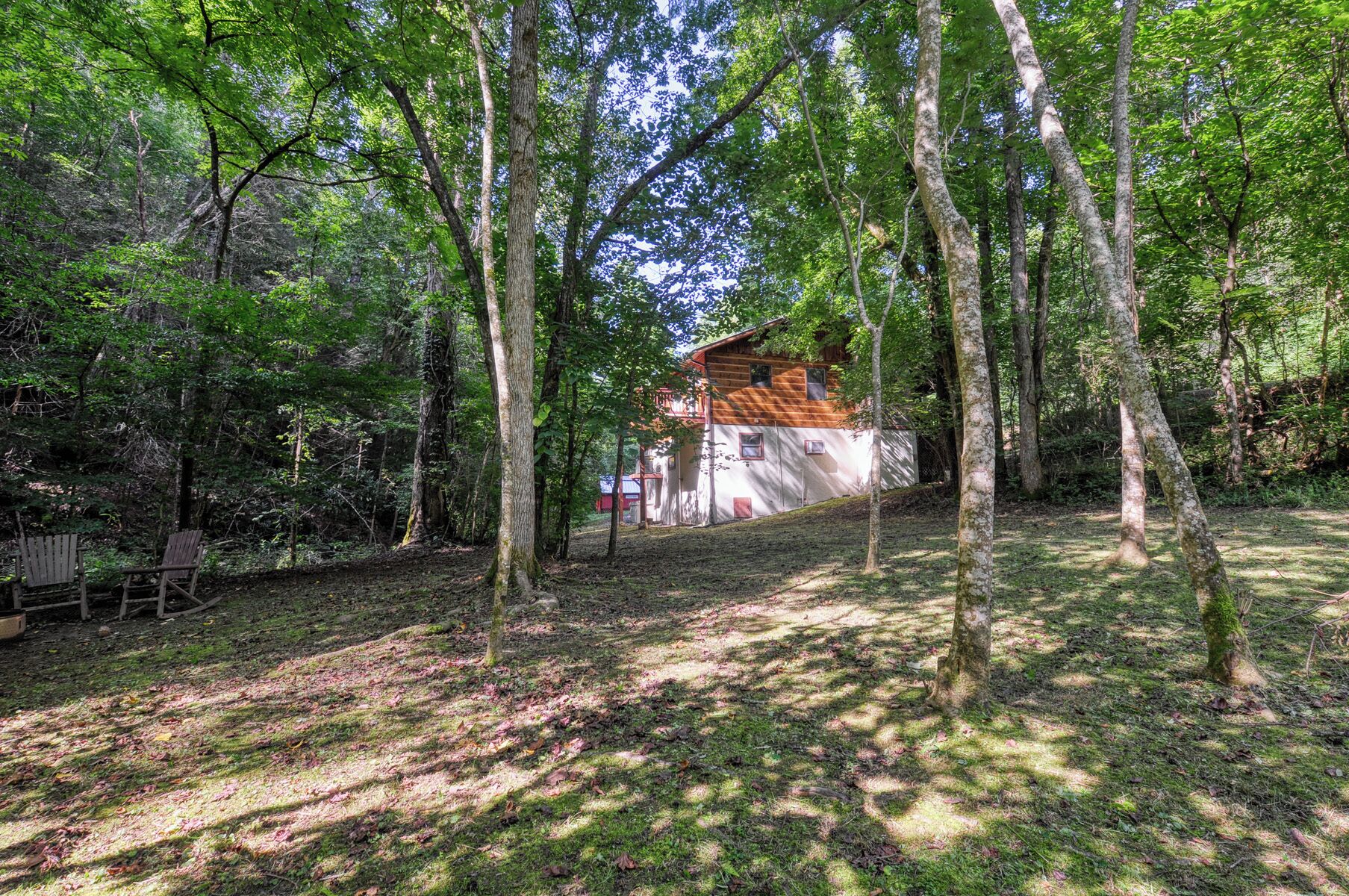 Un chalet rustique entouré d’une forêt dense.