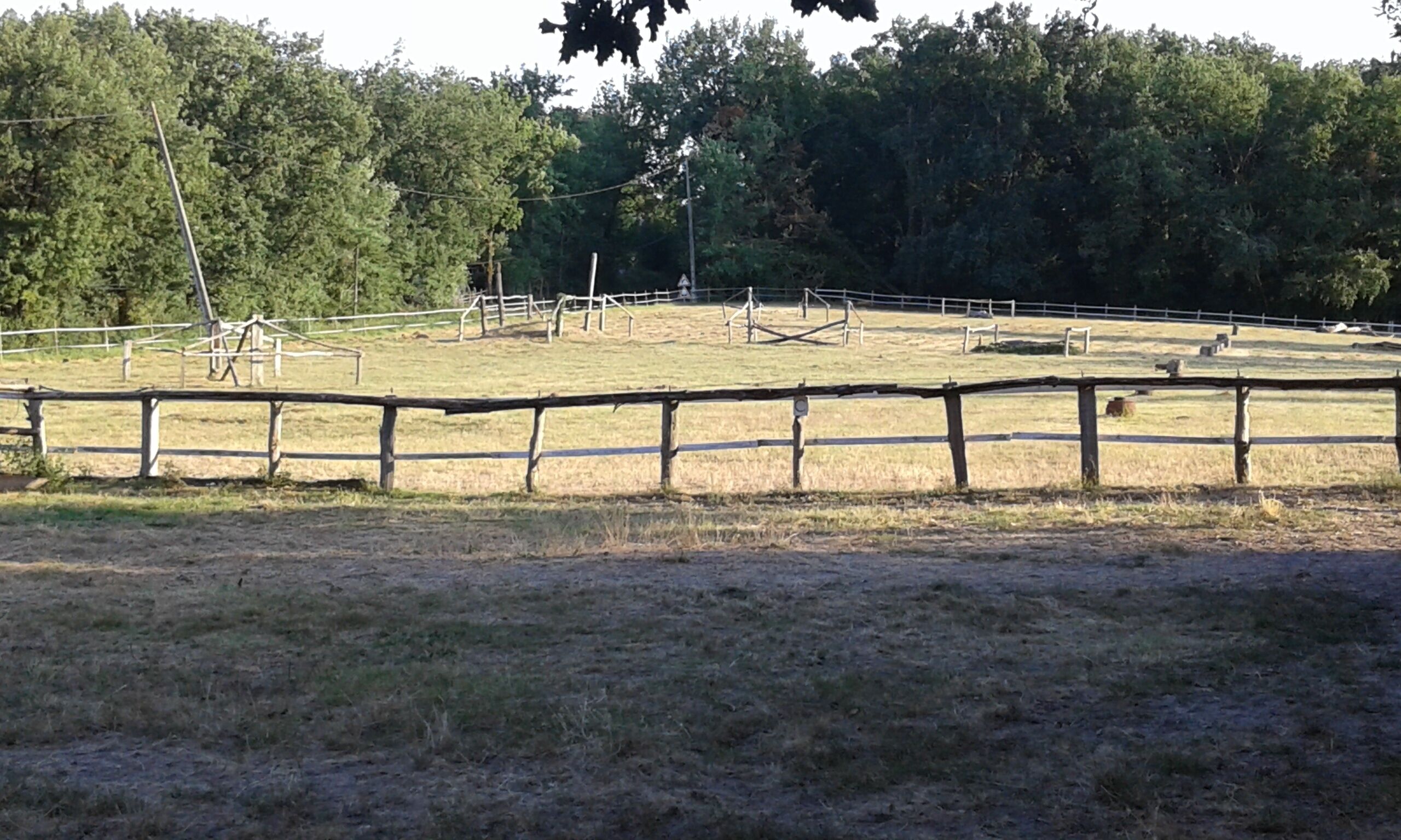 A fenced outdoor area with a dirt ground, wooden structures, and trees in the background.