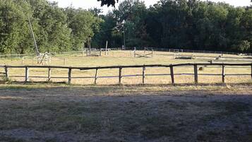A fenced outdoor area with a dirt ground, wooden structures, and trees in the background.