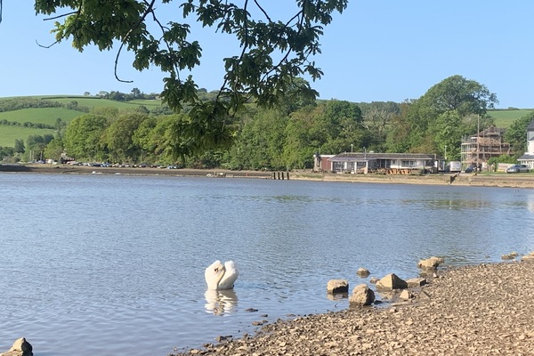 The Rivershack, Stoke Gabriel