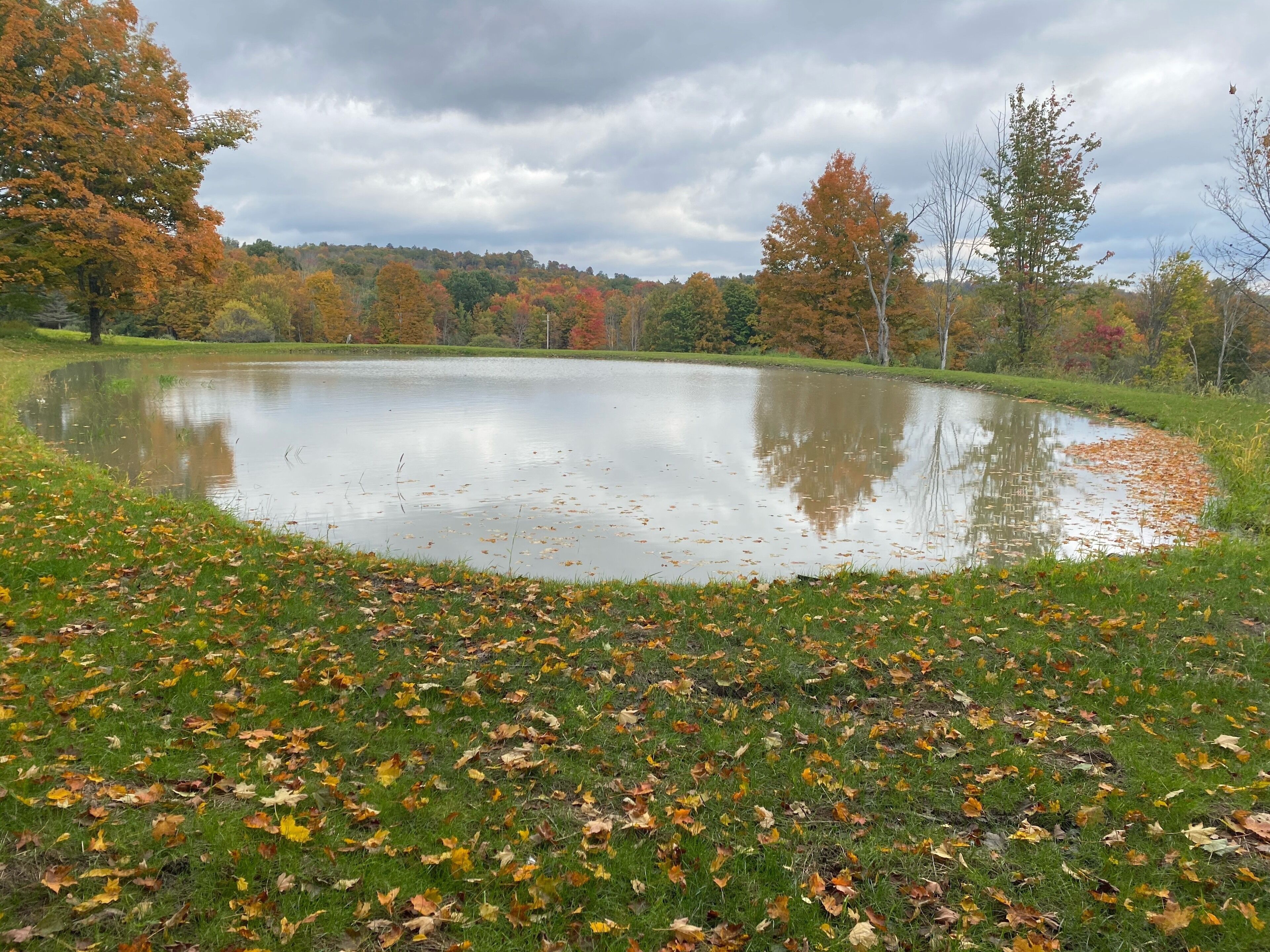 Un étang paisible, entouré d’arbres aux feuilles d’automne, qui reflète le ciel et les arbres.