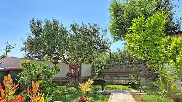 Um jardim com um caminho, plantas em vasos e um banco de madeira.