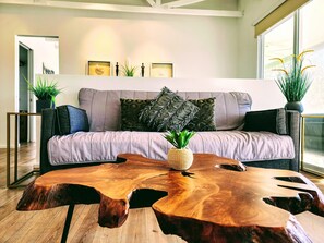 TV, DVD player, books, offices