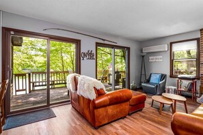 Smart TV, fireplace, video games, DVD player