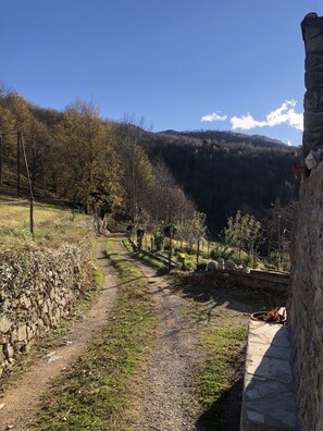 Àrea exterior de l'allotjament