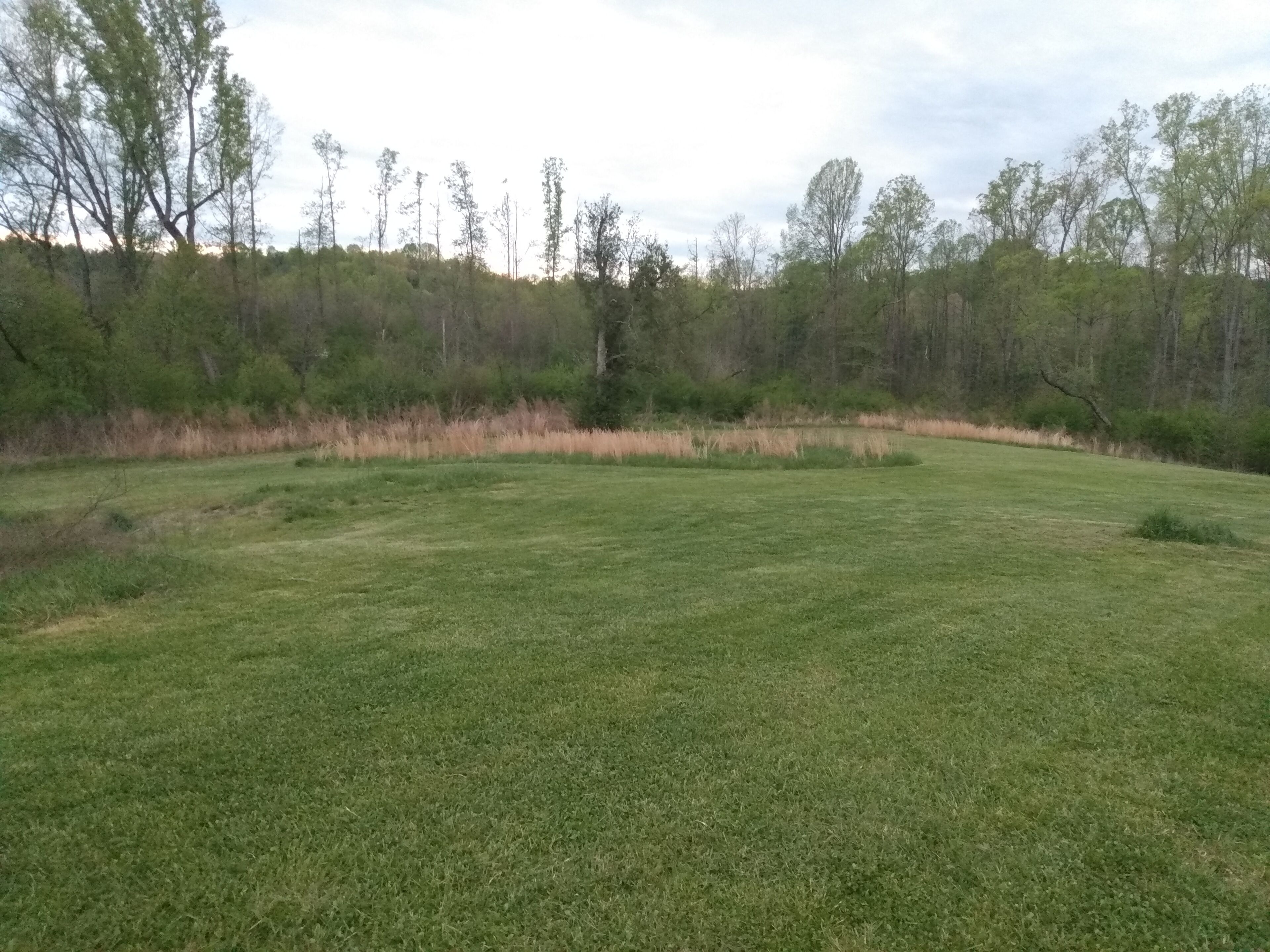 A grassy field with trees in the background.