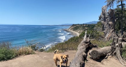 Villa Castillo - Perfect 5 Villa Retreat - Entire Property in Downtown, Santa Barbara!