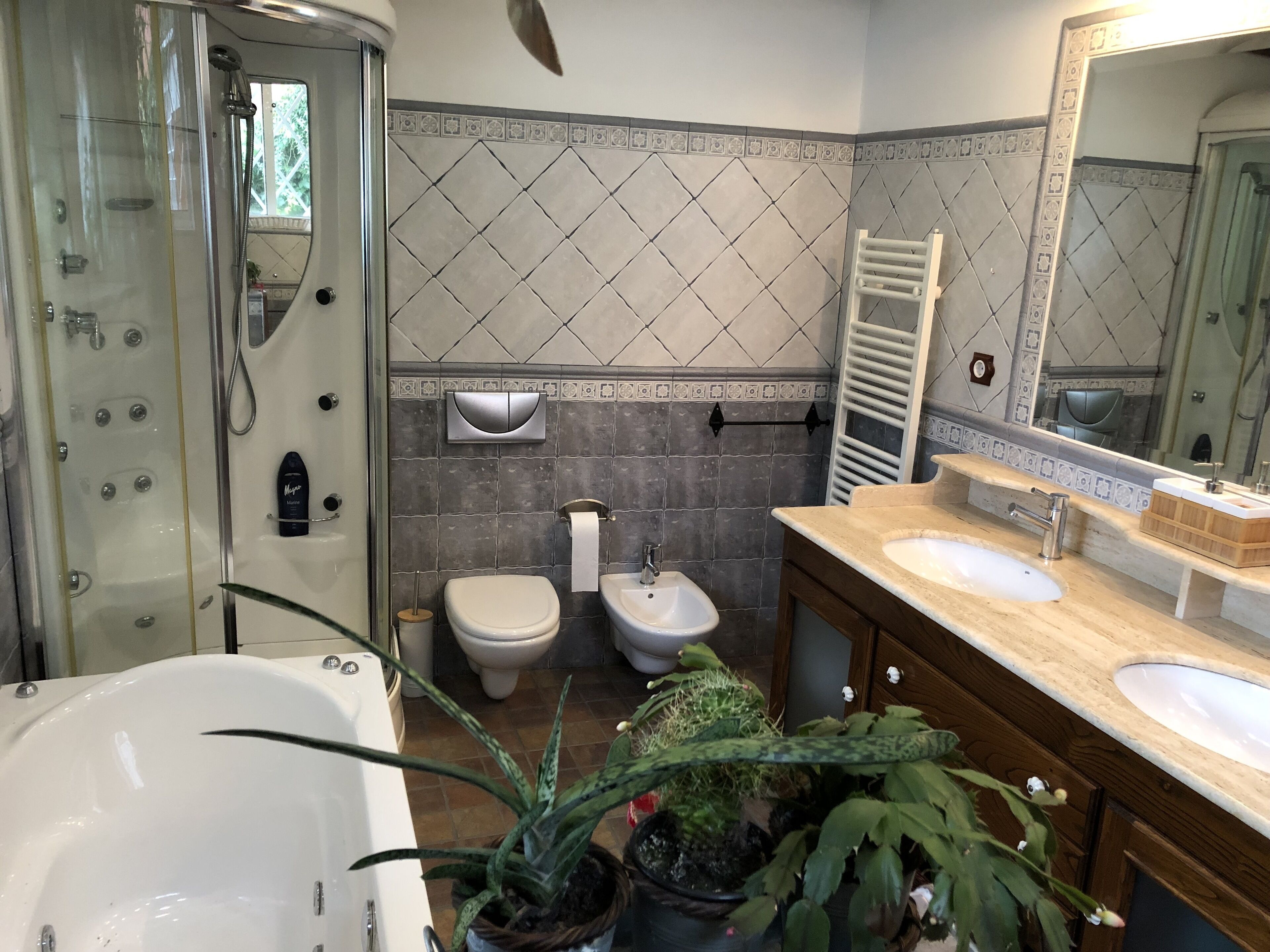 Dusche, Whirlpool, Haartrockner, Bidet