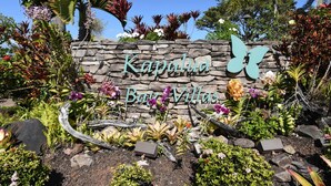 A stone wall with the text "Kapulua Bay Villas" and a butterfly decoration. - Kapalua Bay Villa 29b4 1 Bedroom Villa by RedAwning (Lahaina)