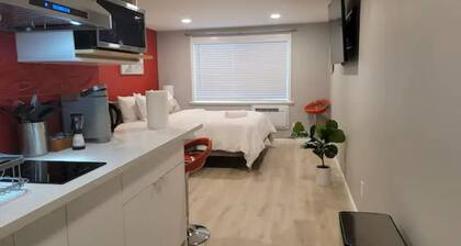 Modern Luxury Oasis Near San Francisco/Oakland