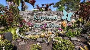 En stenvæg med teksten "Kapulua Bay Villas" og en sommerfugl-dekoration.