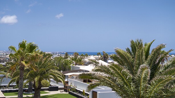 Eine Küstenwohngegend mit Palmen und weißen Gebäuden, mit Blick auf das Meer.