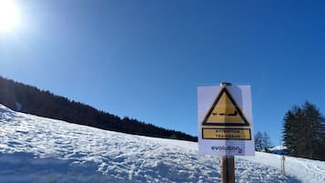 Ărea da propriedade