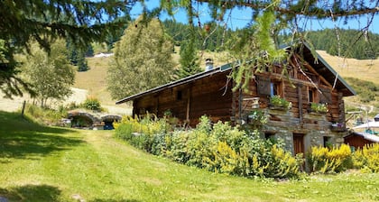 Studio center resort beautiful view Les Coches La Plagne Paradiski