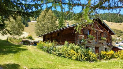 Studio center resort beautiful view Les Coches La Plagne Paradiski