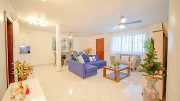 Fernseher, Arbeitsbereiche